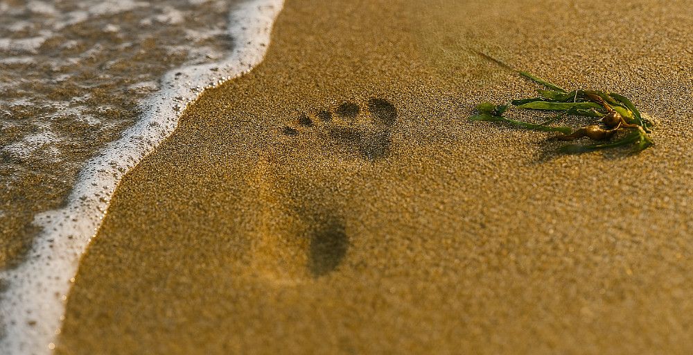 Low Emissions, High Standards