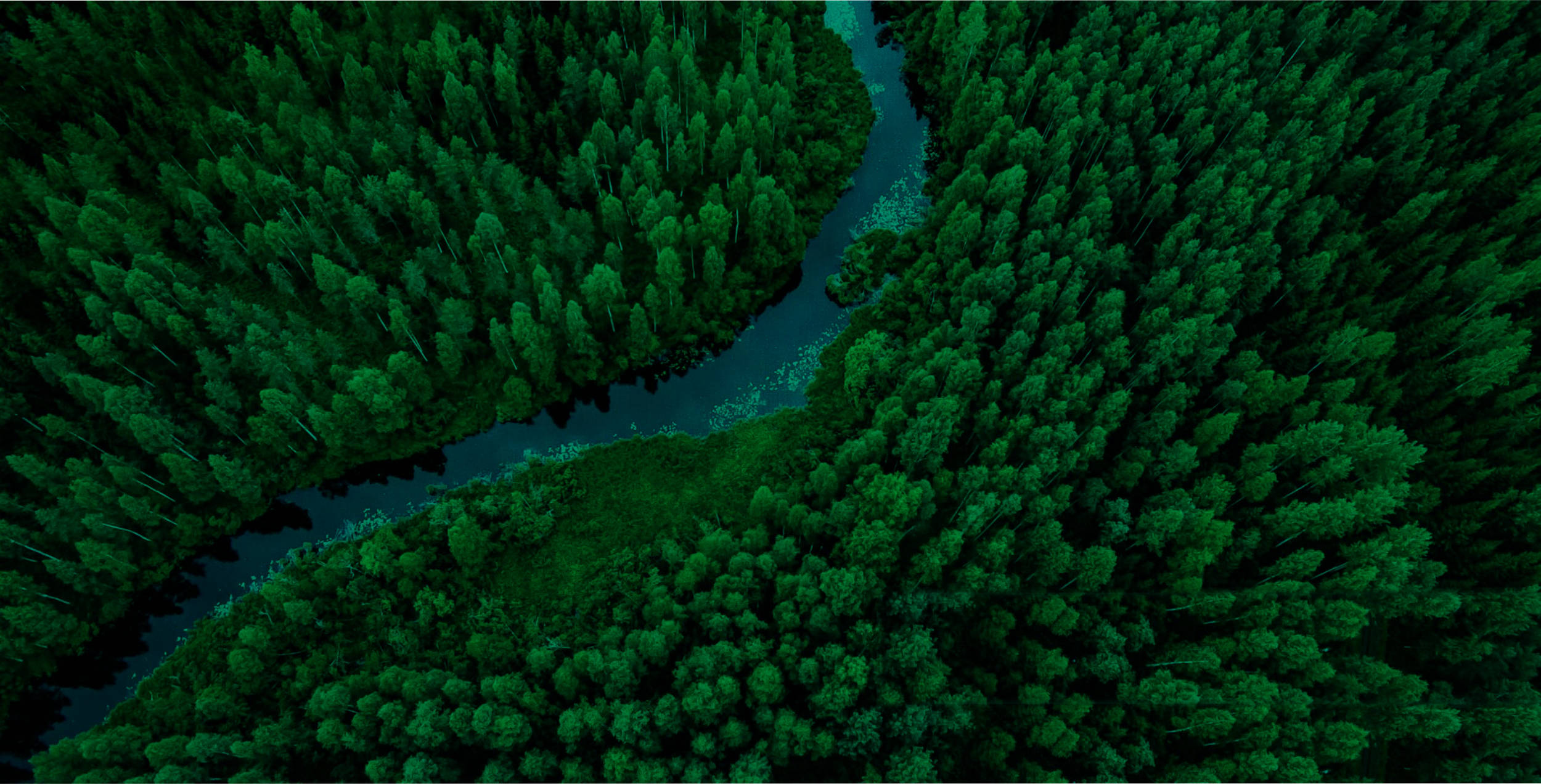 Sustainability - Where sustainability flows like a soft, soothing breeze