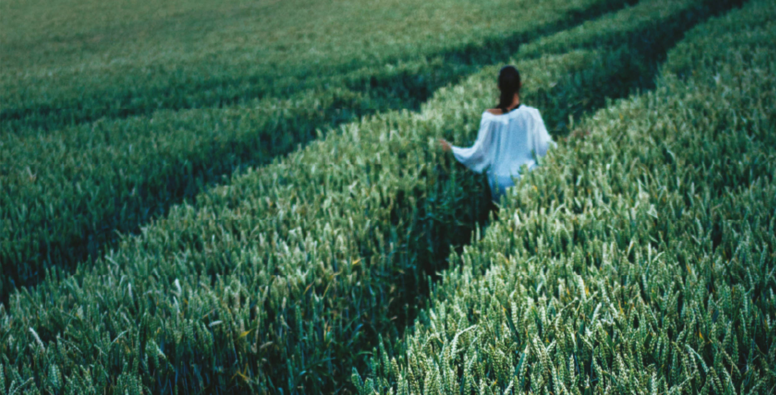 Sustainability - Where sustainability flows like a soft, soothing breeze